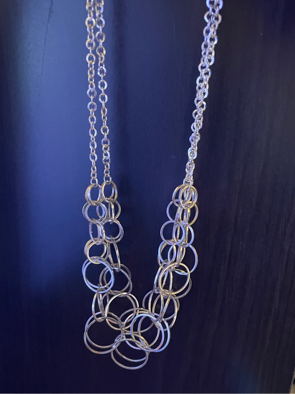 Silver Tone Interlocking Hoop Necklace 🐾